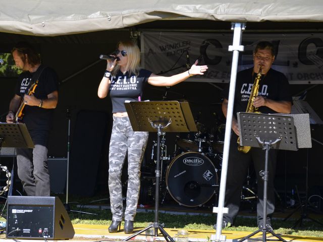 Bildgröße auf die Monitorauflösung (640x480 px) optimiert