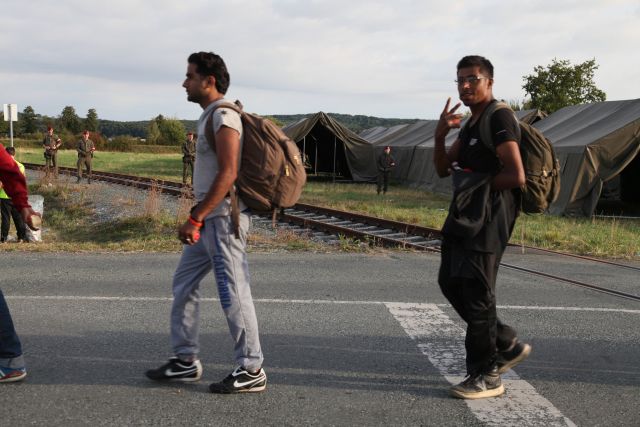 Bildgr&ouml;&szlig;e auf die Monitoraufl&ouml;sung (640x480 px) optimiert