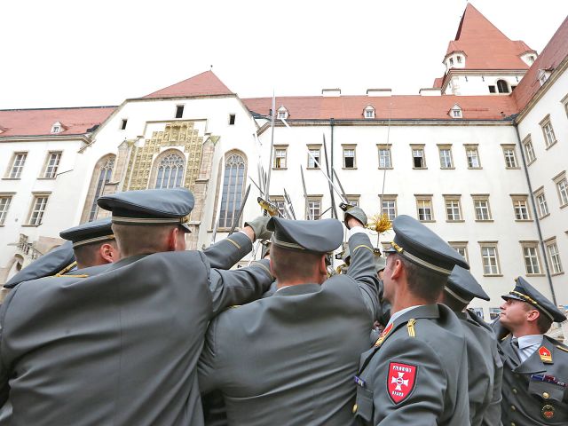 Bildgröße auf die Monitorauflösung (640x480 px) optimiert