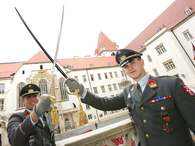 Bildgröße auf die Monitorauflösung (640x480 px) optimiert