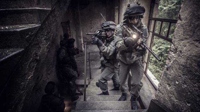 Bildgröße auf die Monitorauflösung (640x480 px) optimiert