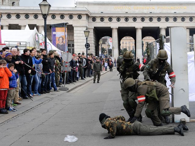 Bildgröße auf die Monitorauflösung (640x480 px) optimiert