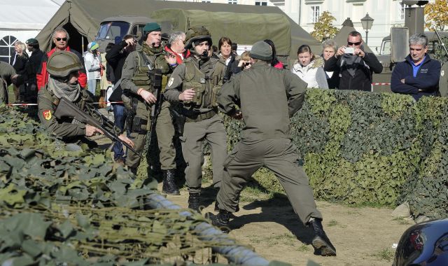 Bildgr&ouml;&szlig;e auf die Monitoraufl&ouml;sung (640x480 px) optimiert