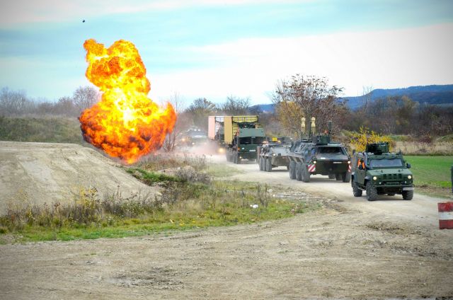 Bildgr&ouml;&szlig;e auf die Monitoraufl&ouml;sung (640x480 px) optimiert