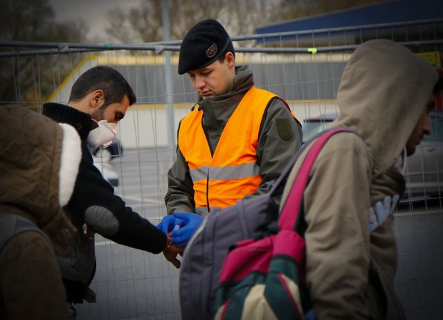 Bildgr&ouml;&szlig;e auf die Monitoraufl&ouml;sung (640x480 px) optimiert