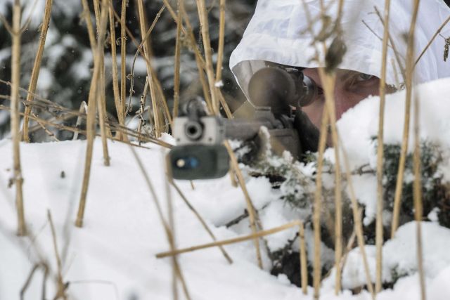 Bildgröße auf die Monitorauflösung (640x480 px) optimiert