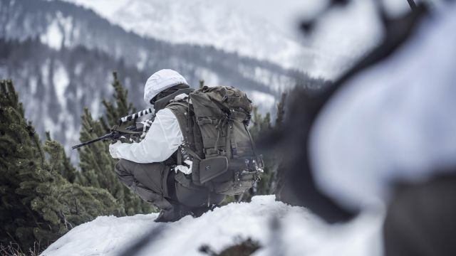 Bildgröße auf die Monitorauflösung (640x480 px) optimiert