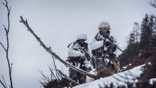 Bildgröße auf die Monitorauflösung (640x480 px) optimiert