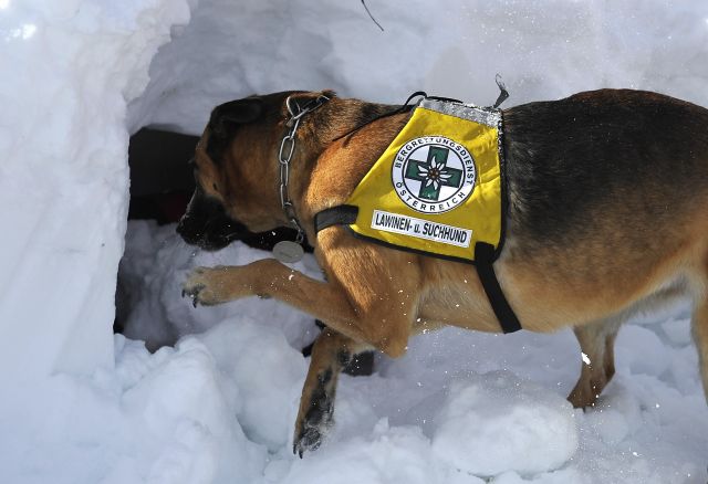 Bildgr&ouml;&szlig;e auf die Monitoraufl&ouml;sung (640x480 px) optimiert