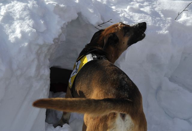 Bildgr&ouml;&szlig;e auf die Monitoraufl&ouml;sung (640x480 px) optimiert