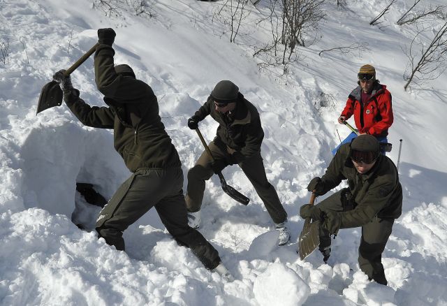 Bildgröße auf die Monitorauflösung (640x480 px) optimiert