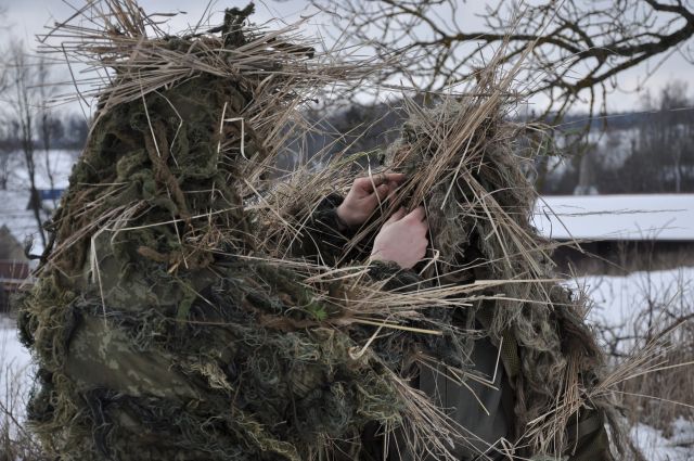 Bildgröße auf die Monitorauflösung (640x480 px) optimiert