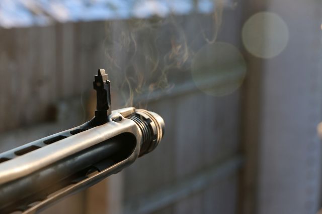 Bildgröße auf die Monitorauflösung (640x480 px) optimiert