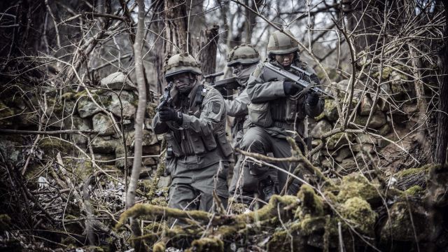 Bildgr&ouml;&szlig;e auf die Monitoraufl&ouml;sung (640x480 px) optimiert