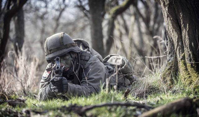 Bildgr&ouml;&szlig;e auf die Monitoraufl&ouml;sung (640x480 px) optimiert