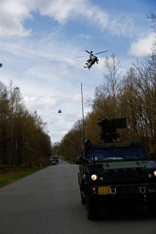 Bildgr&ouml;&szlig;e auf die Monitoraufl&ouml;sung (640x480 px) optimiert