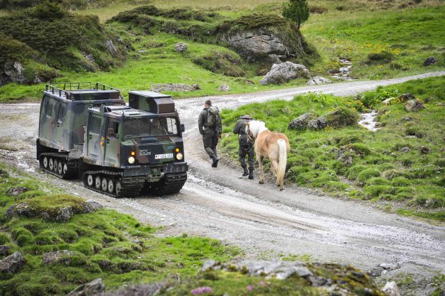 Bildname: 20160613_161052.jpg, momentane Bildgröße: 640x426 px Bildgröße auf die Monitorauflösung (640x480 px) optimiert