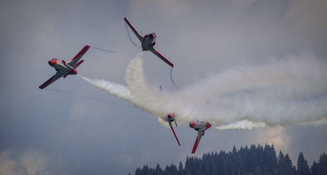 Bildgröße auf die Monitorauflösung (640x480 px) optimiert
