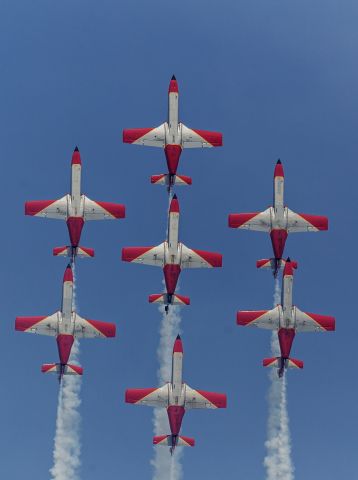 Bildgr&ouml;&szlig;e auf die Monitoraufl&ouml;sung (640x480 px) optimiert