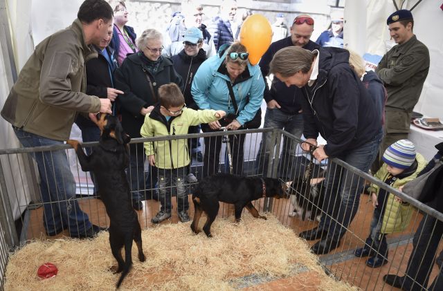 Bildgröße auf die Monitorauflösung (640x480 px) optimiert