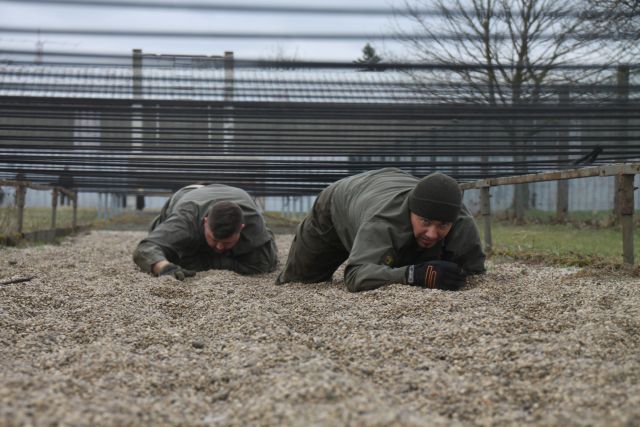 Bildgr&ouml;&szlig;e auf die Monitoraufl&ouml;sung (640x480 px) optimiert