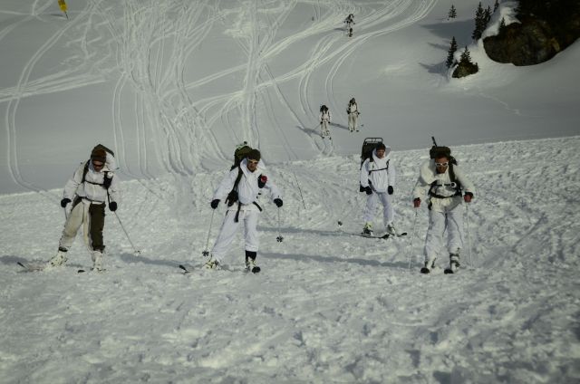 Bildgröße auf die Monitorauflösung (640x480 px) optimiert