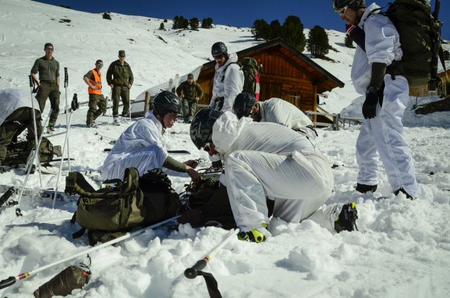 Bildgr&ouml;&szlig;e auf die Monitoraufl&ouml;sung (640x480 px) optimiert