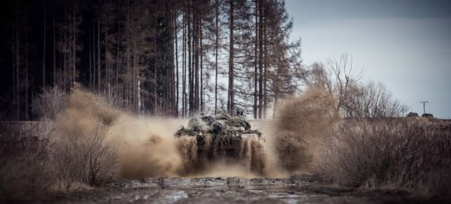 Bildgröße auf die Monitorauflösung (640x480 px) optimiert