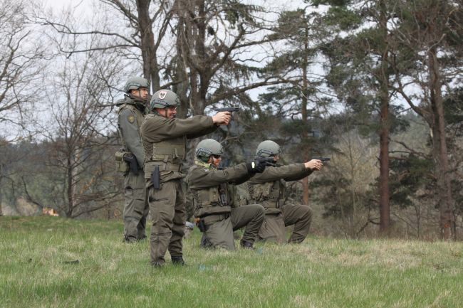 Bildgröße auf die Monitorauflösung (650x440 px) optimiert