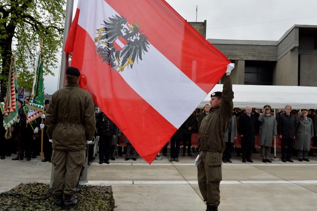 Bildgröße auf die Monitorauflösung (640x480 px) optimiert