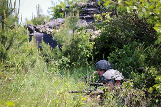 Bildgr&ouml;&szlig;e auf die Monitoraufl&ouml;sung (640x480 px) optimiert