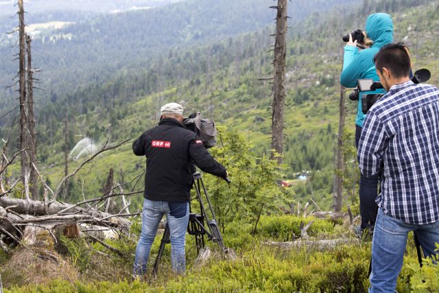 Bildgröße auf die Monitorauflösung (640x480 px) optimiert