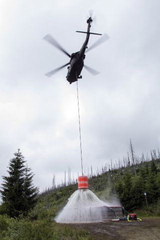 Bildgröße auf die Monitorauflösung (640x480 px) optimiert