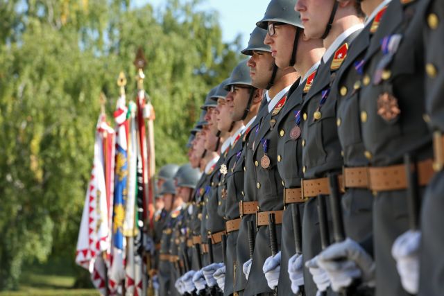 Bildgröße auf die Monitorauflösung (640x480 px) optimiert