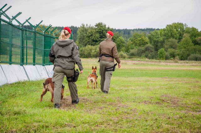 Bildgr&ouml;&szlig;e auf die Monitoraufl&ouml;sung (640x480 px) optimiert