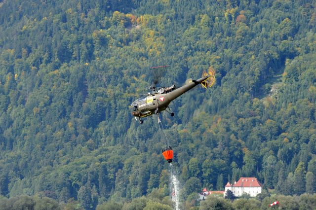 Bildgröße auf die Monitorauflösung (640x480 px) optimiert