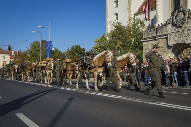 Bildgröße auf die Monitorauflösung (640x480 px) optimiert