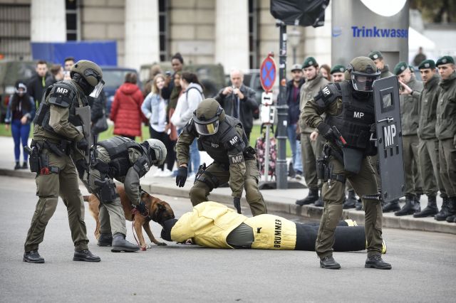 Bildgr&ouml;&szlig;e auf die Monitoraufl&ouml;sung (640x480 px) optimiert