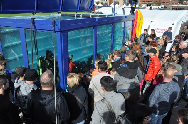 Bildgröße auf die Monitorauflösung (640x480 px) optimiert