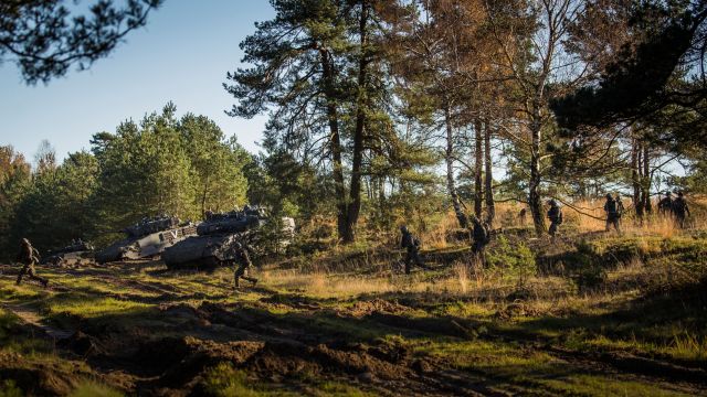 Bildgr&ouml;&szlig;e auf die Monitoraufl&ouml;sung (640x480 px) optimiert