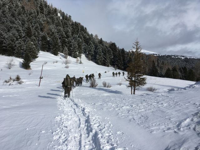 Bildgröße auf die Monitorauflösung (640x480 px) optimiert