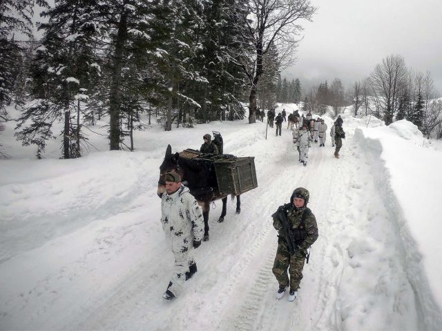 Bildgr&ouml;&szlig;e auf die Monitoraufl&ouml;sung (640x480 px) optimiert