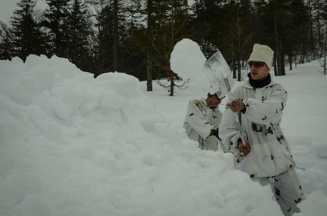 Bildgr&ouml;&szlig;e auf die Monitoraufl&ouml;sung (640x480 px) optimiert