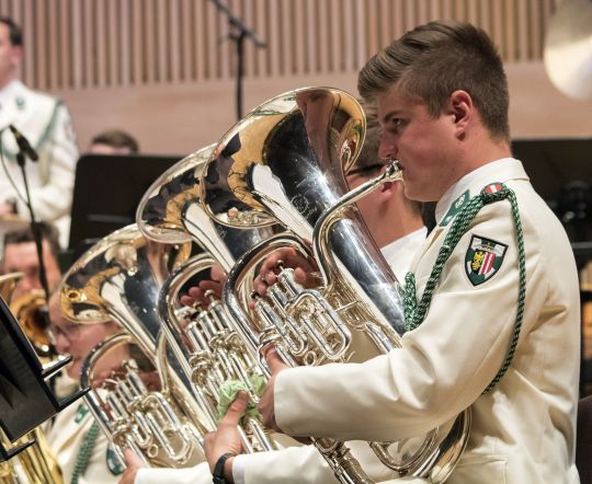 Bildgröße auf die Monitorauflösung (640x480 px) optimiert