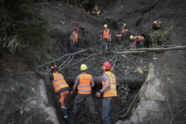 Bildgr&ouml;&szlig;e auf die Monitoraufl&ouml;sung (640x480 px) optimiert