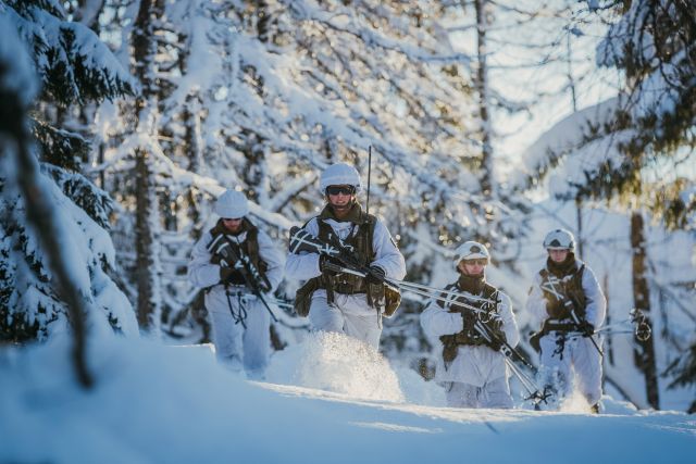 Bildgröße auf die Monitorauflösung (640x480 px) optimiert