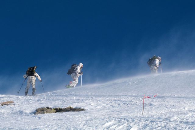 Bildgr&ouml;&szlig;e auf die Monitoraufl&ouml;sung (640x480 px) optimiert