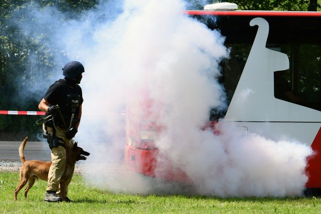 Bildgröße auf die Monitorauflösung (640x480 px) optimiert