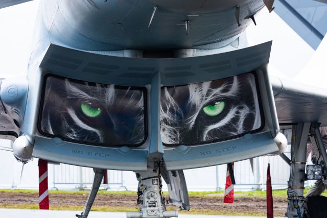 Bildgr&ouml;&szlig;e auf die Monitoraufl&ouml;sung (640x480 px) optimiert