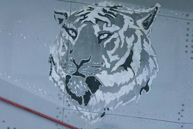 Bildgröße auf die Monitorauflösung (640x480 px) optimiert